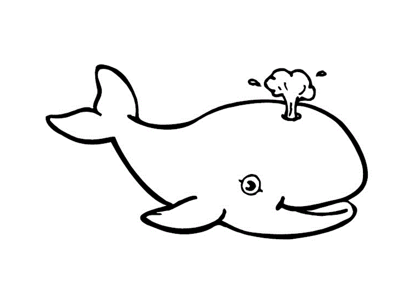 Дитеныш кита