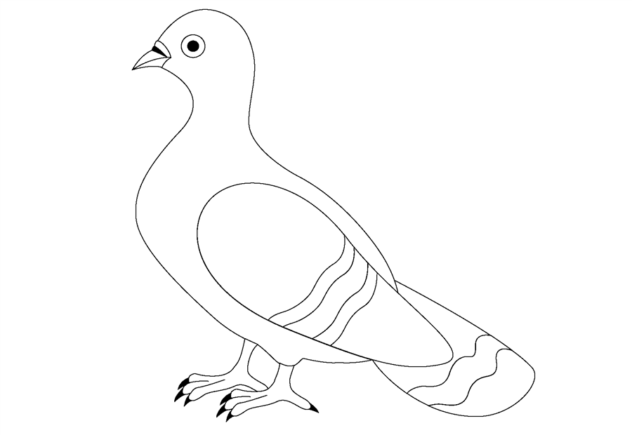 Розмальовка голуб