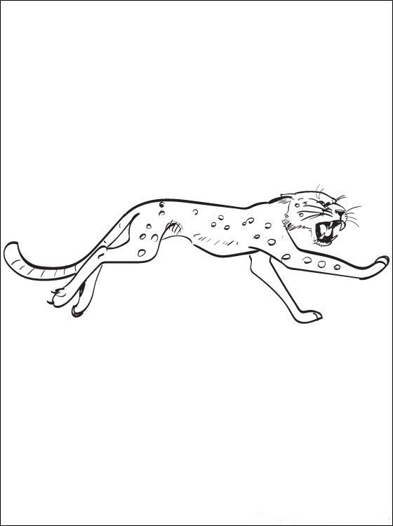 Біжить леопард