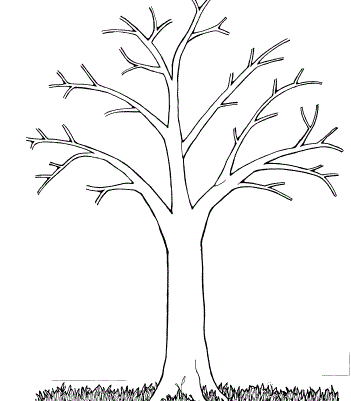 розмальовка дерево без листя роздрукувати