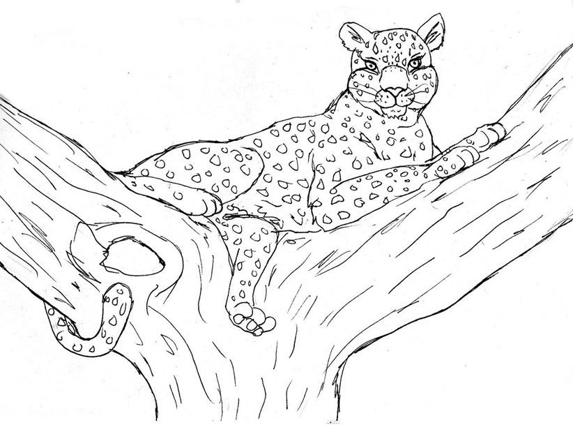 Леопард на дереві