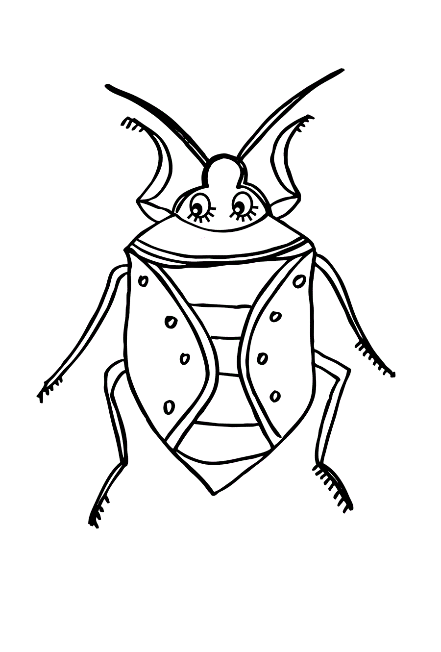 Травневий жук