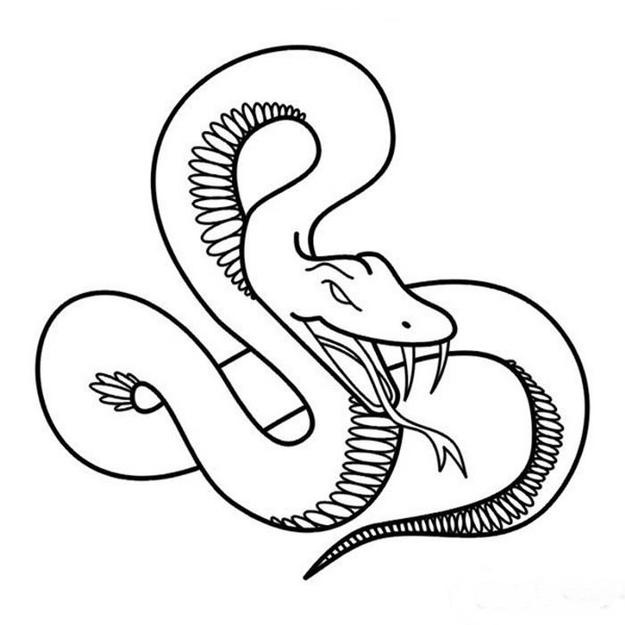 Отруйна змія