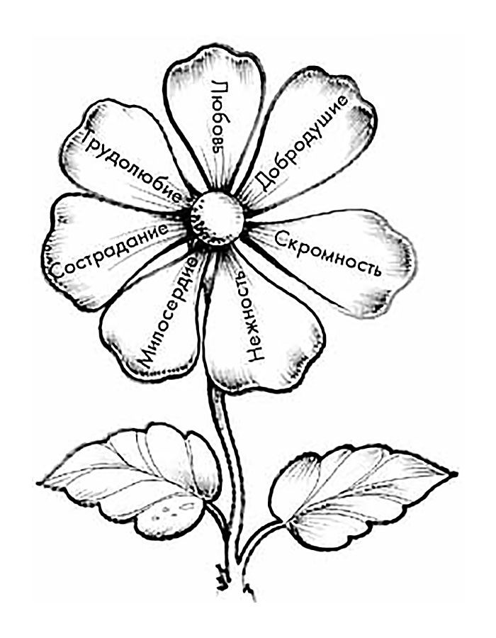 малюнок квітка семицвітка