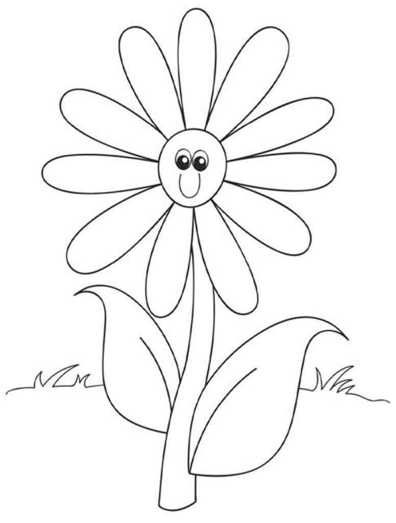 квітка семицвітка з очима