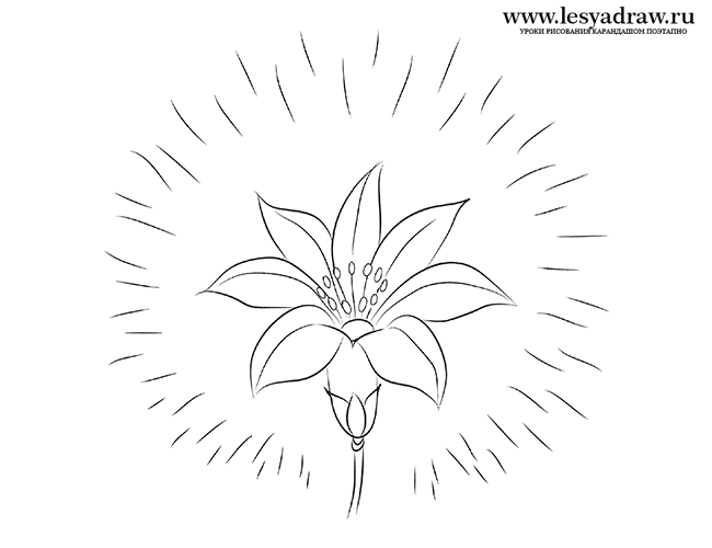 розмальовка сяйво квіточки семицветика