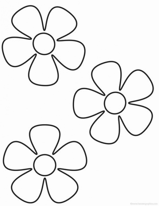 розмальовка три маленькі квіточки семицветика