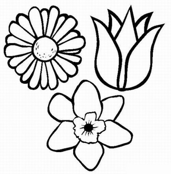 розмальовка три гарні квіточки семицветика
