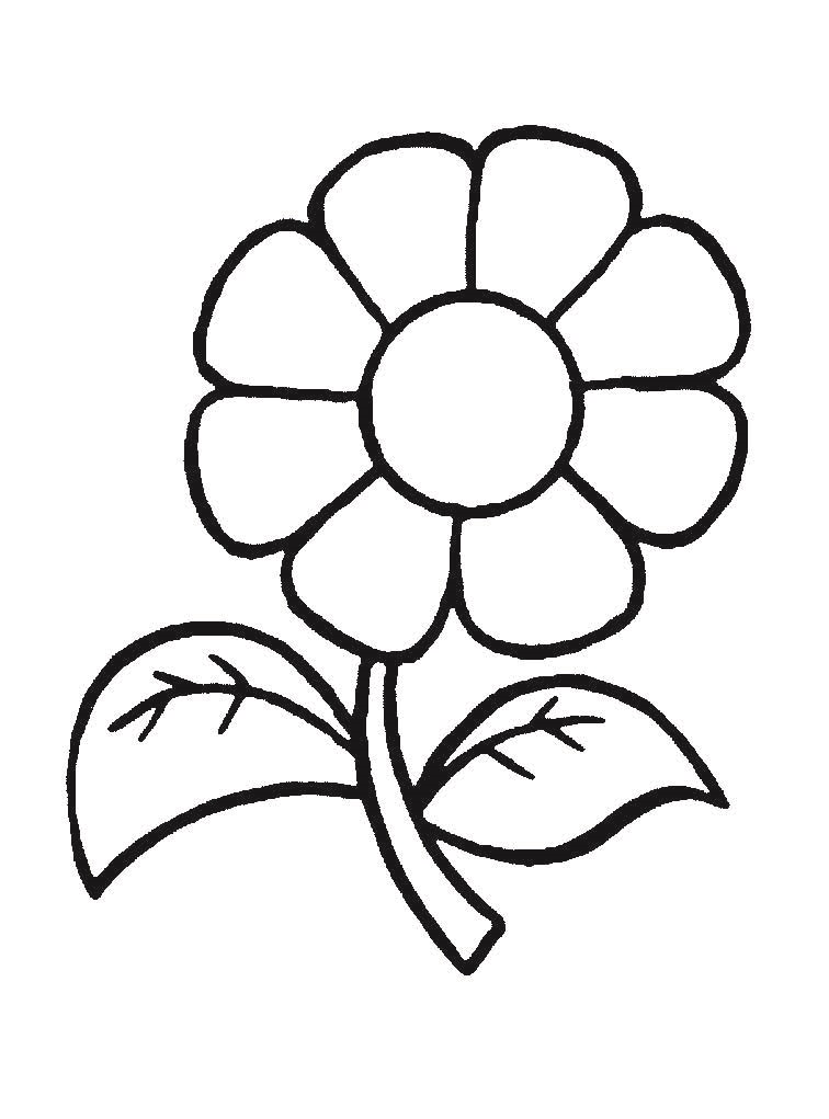 розмальовка квітка семицвітка на стеблинці