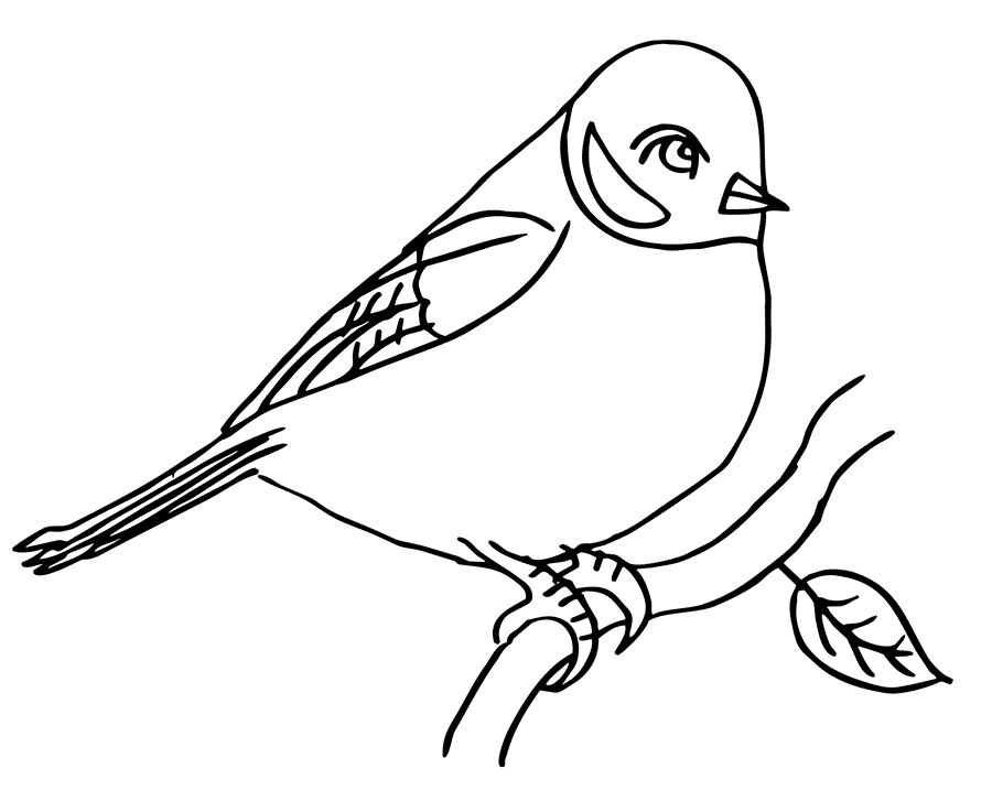 Птах на гілці розмальовка друк