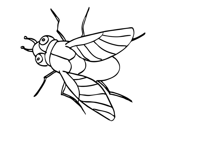 Величезна муха