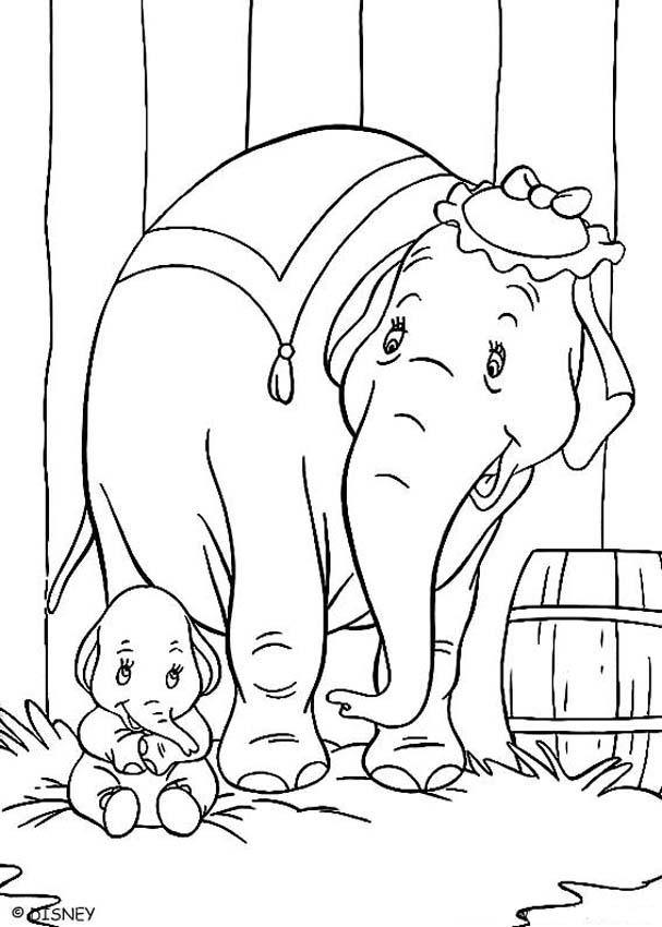 Слон і слониха