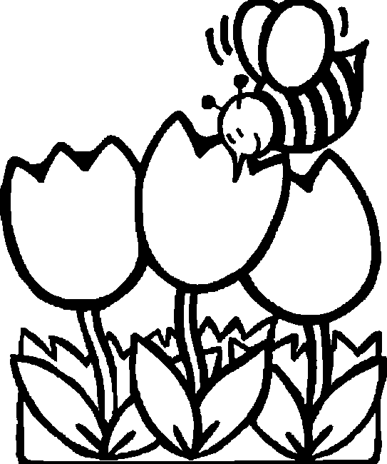 бджілка і тюльпани