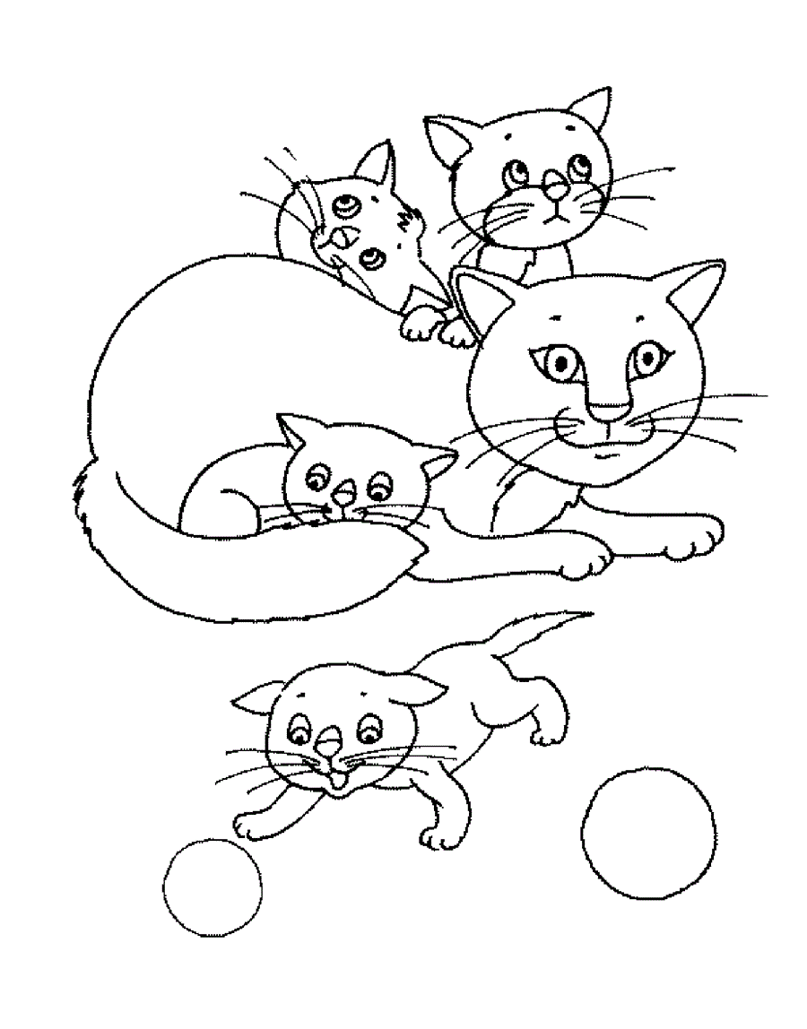 кішка з кошенятами