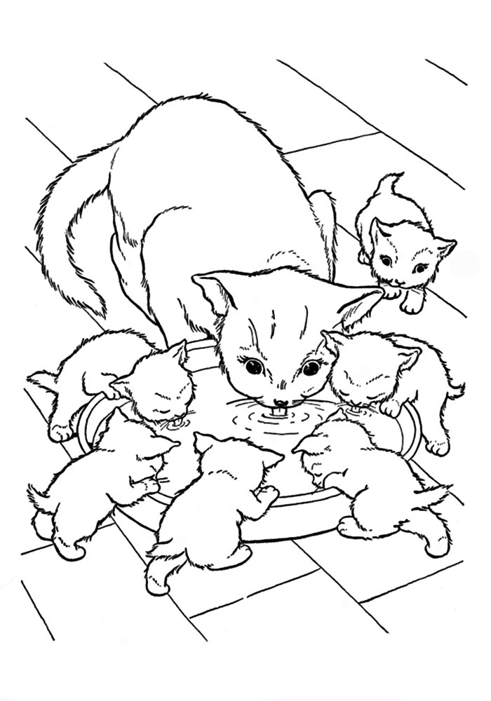 Кішка з маленькими котятками