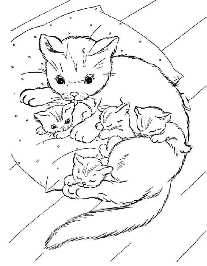 Кішка і кошенята на подушці