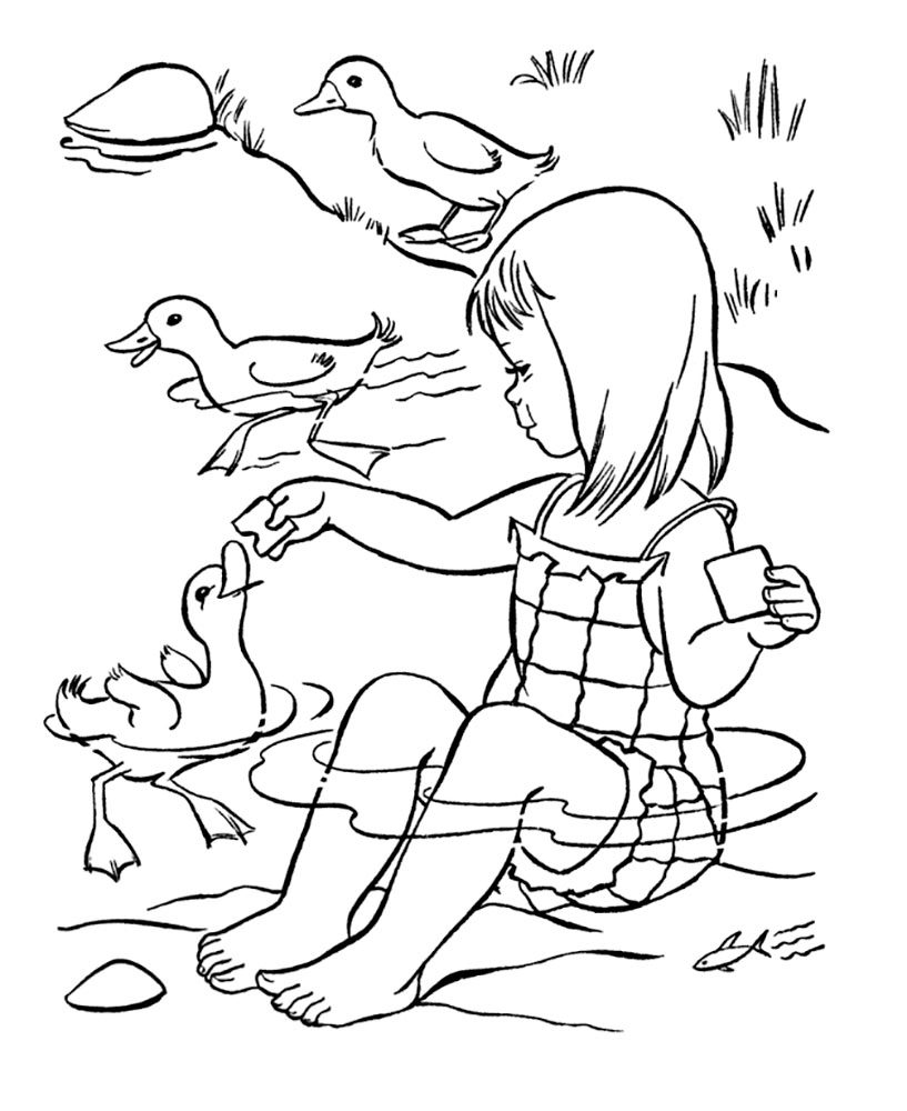 Дівчинка годує качечок