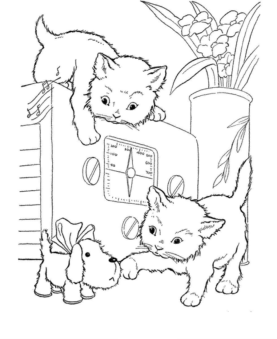 Котики з іграшкою
