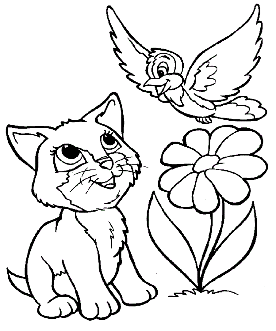 кошеня і квітка