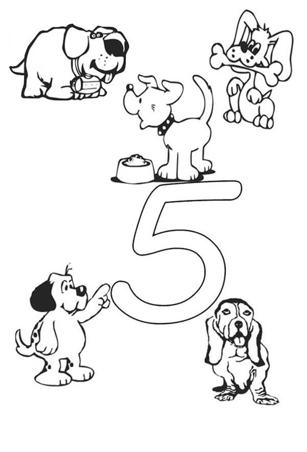 п'ять собак