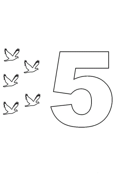 п'ять пташок