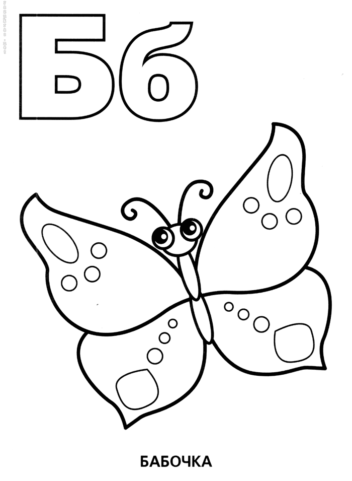 розмальовка метелик