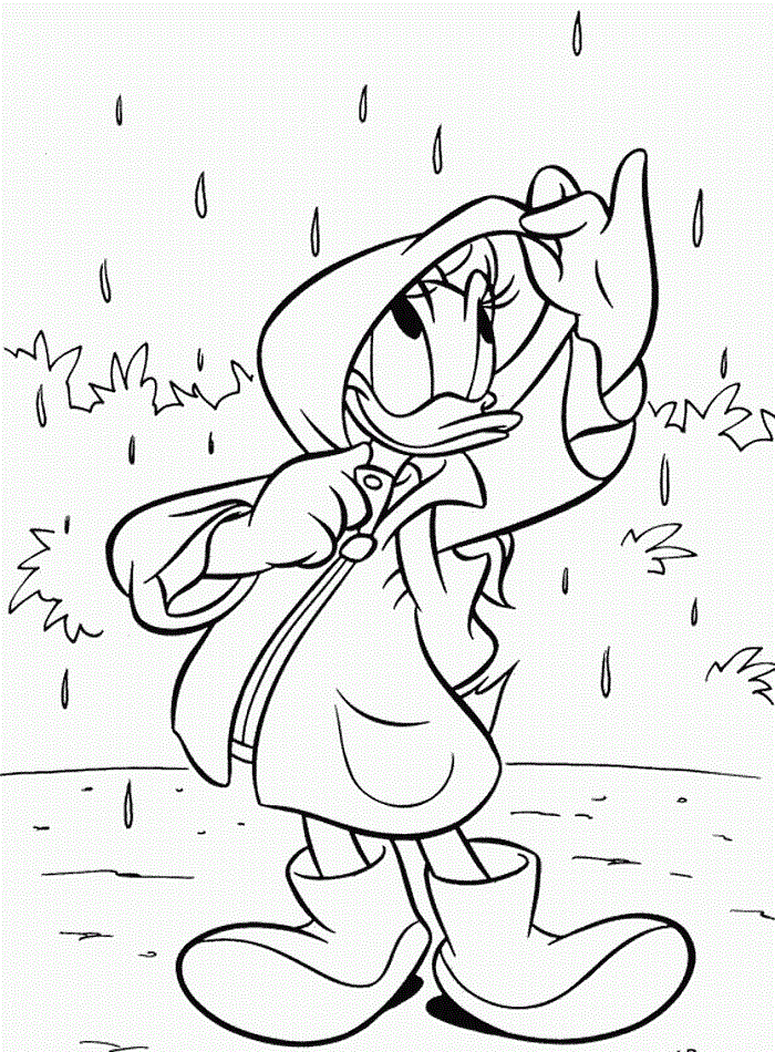 Дейзі під дощем