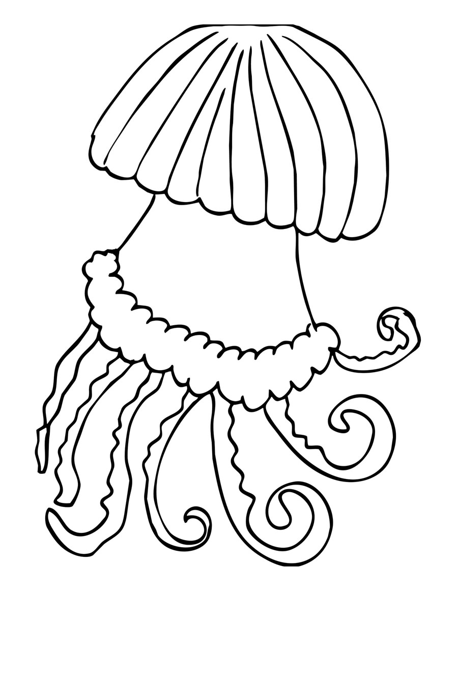 Велика медуза