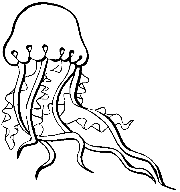 Розмальовка Медуза