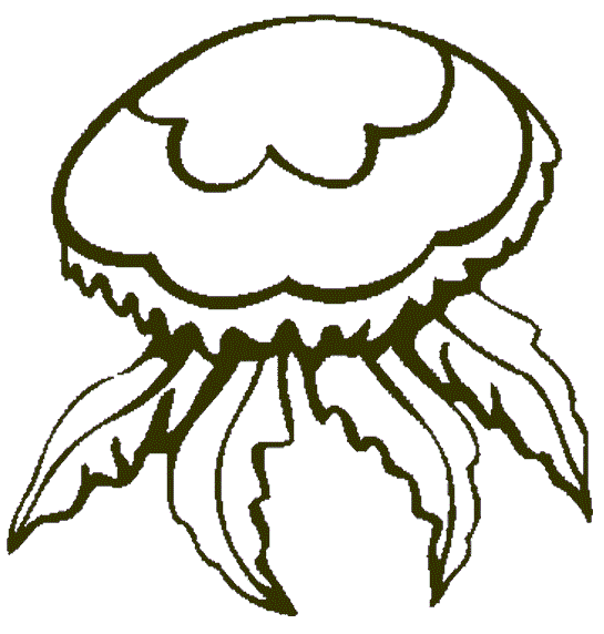 Велика медуза
