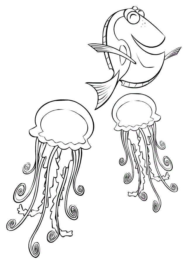 Медузи і Дорі