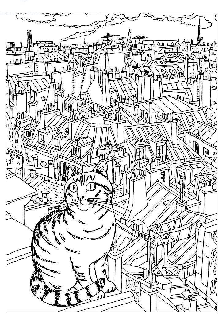 Кішка у місті