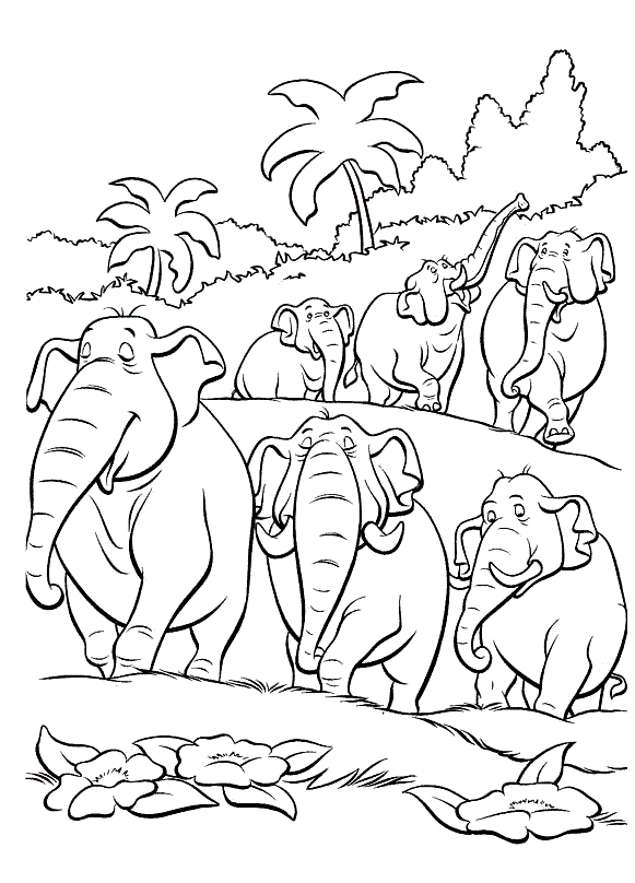 Слони в джунглях