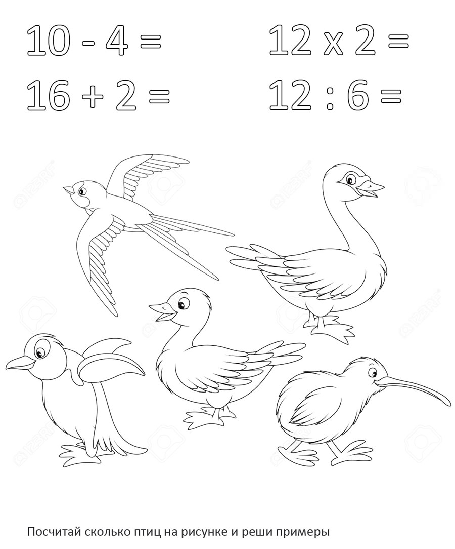 Пташки з прикладами