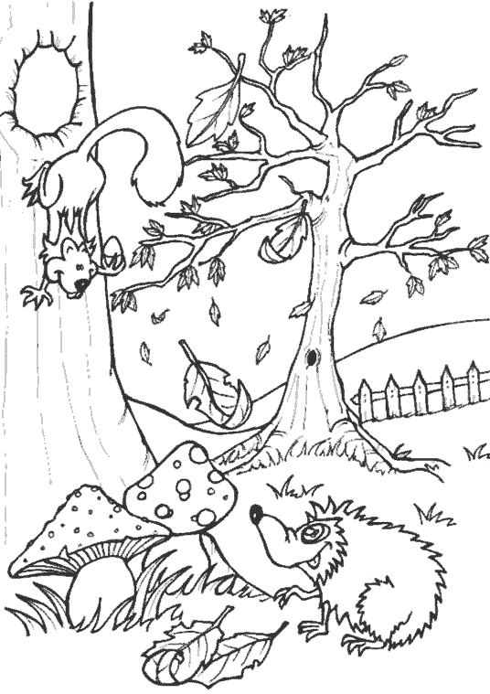 Розмальовка для дітей ліс