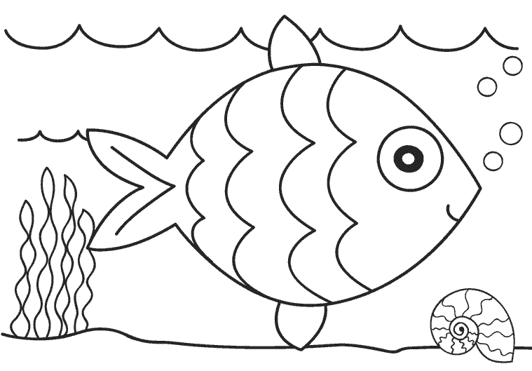 Рибка і черепашка