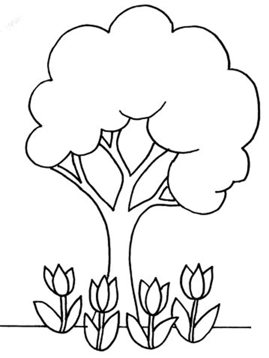 дерево і тюльпани