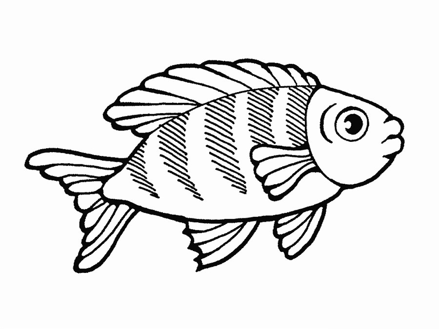 Рибка розмальовка
