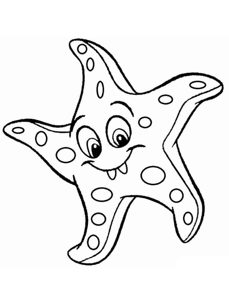 Картинка морська зірка
