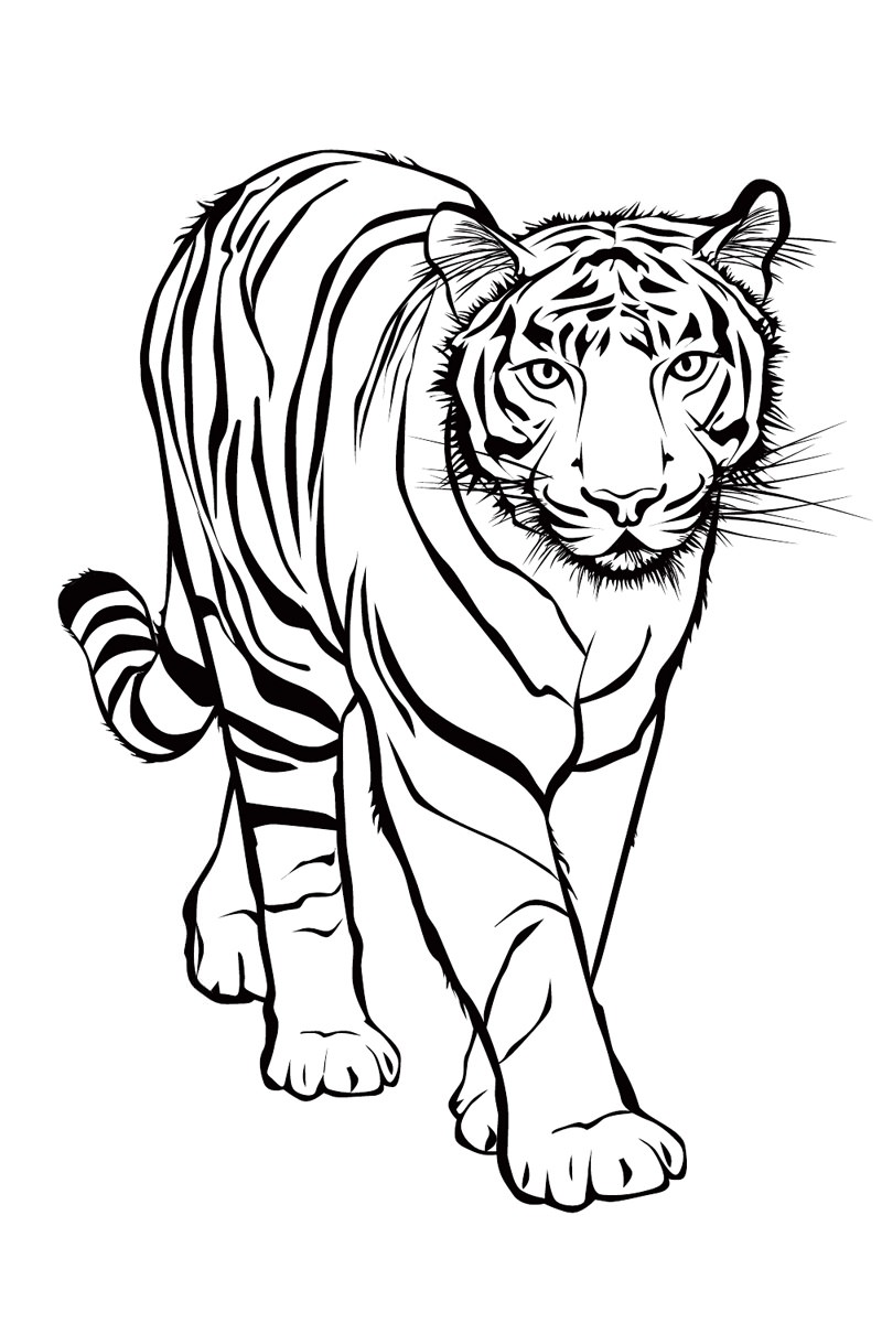 Тигр для дітей