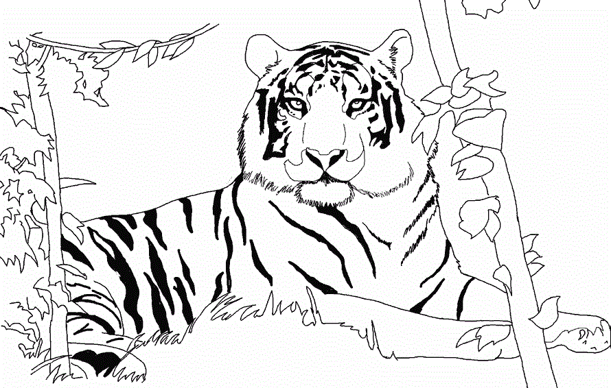 Розмальовки тигр