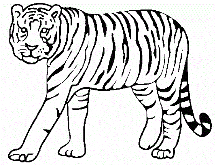 Малюнок тигр