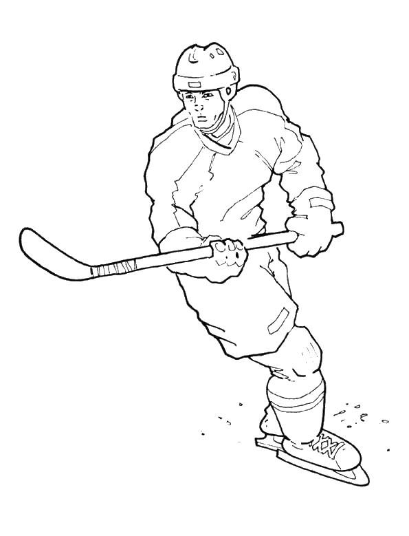 Розмальовки хокеїст
