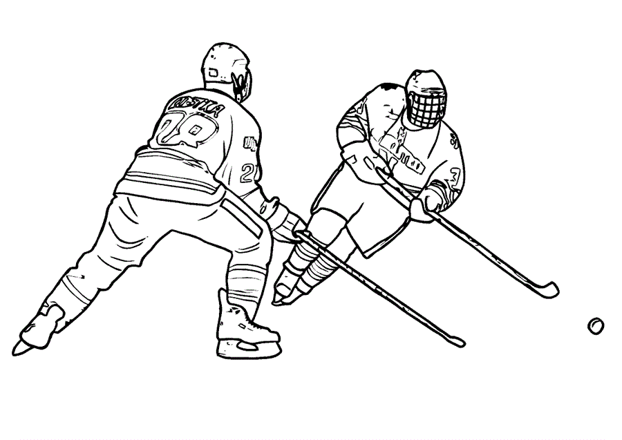 Два хокеїста