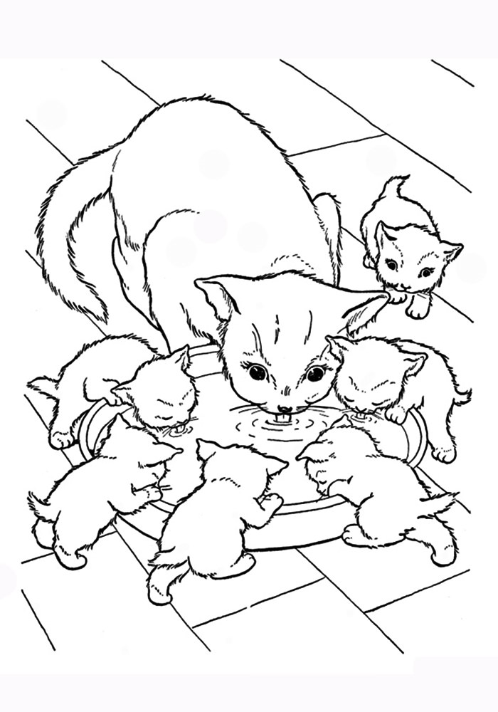 Кішка для дітей