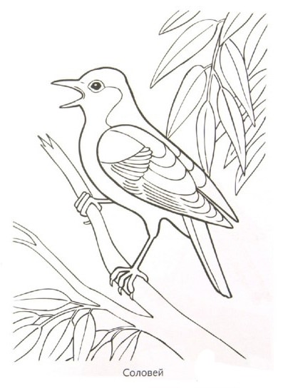 Малюнок перелітні птахи