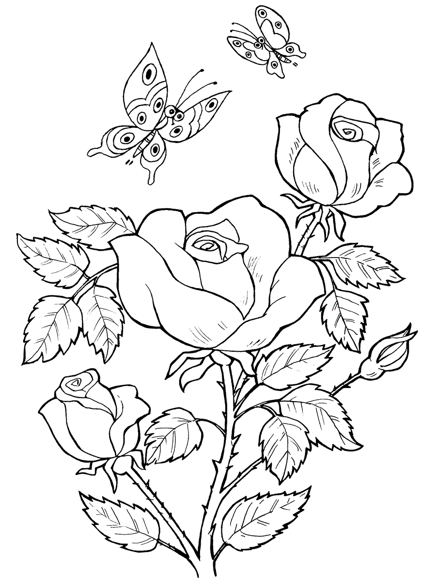 Троянди з метеликами
