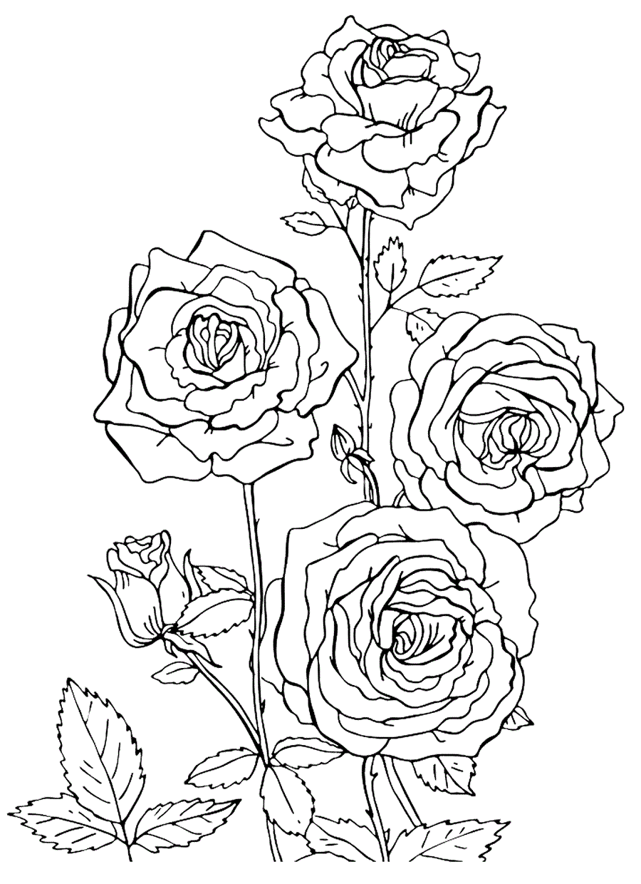 Букет Троянд