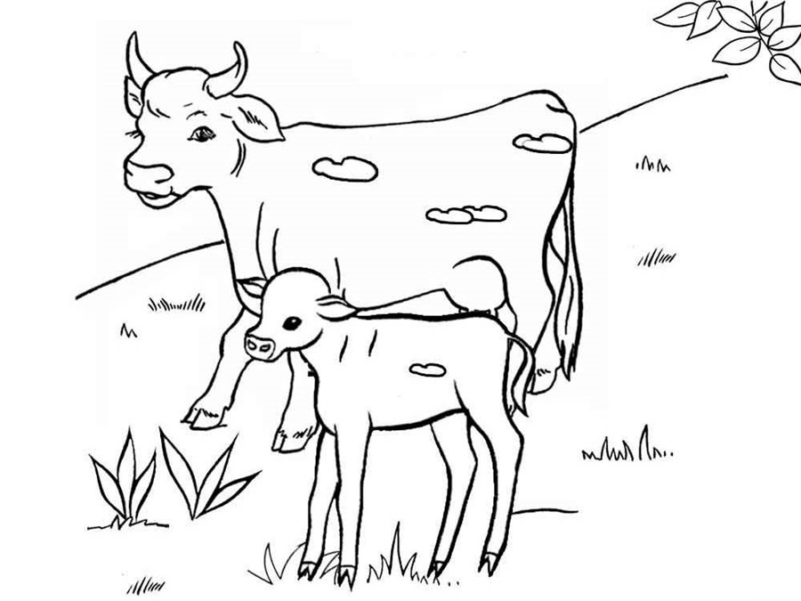 Корова з телям