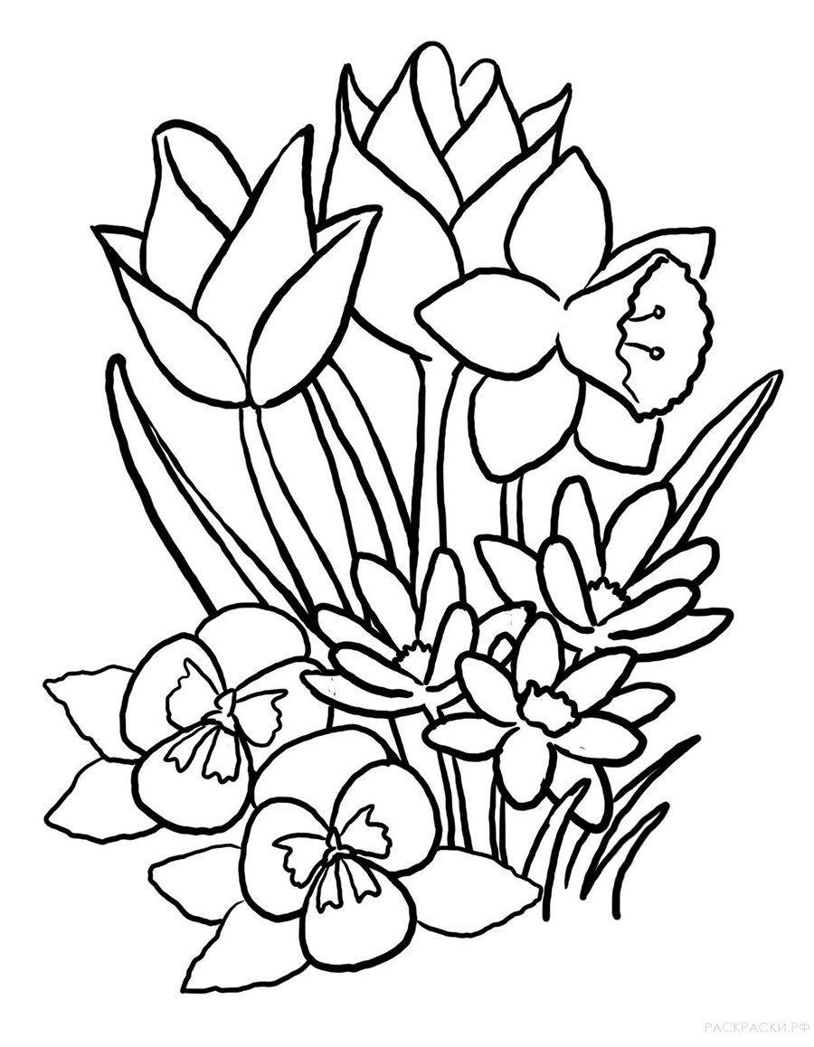 Картинка Весняні квіти